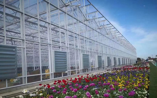 美碩風(fēng)_解決方案_溫室/種植大棚